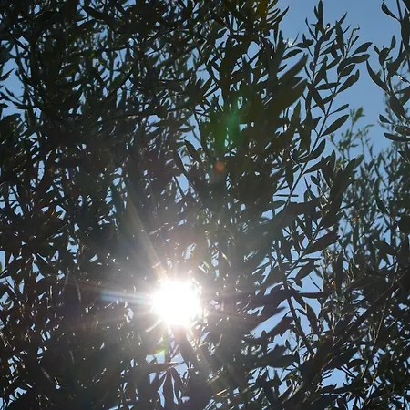 Appartement Ostanek 2 *