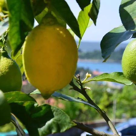 Ostanek 2 Appartement