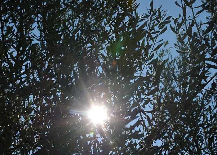 Apartamento Ostanek 2 *